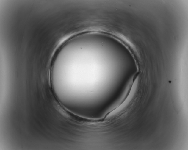 X0000086251272200704121945