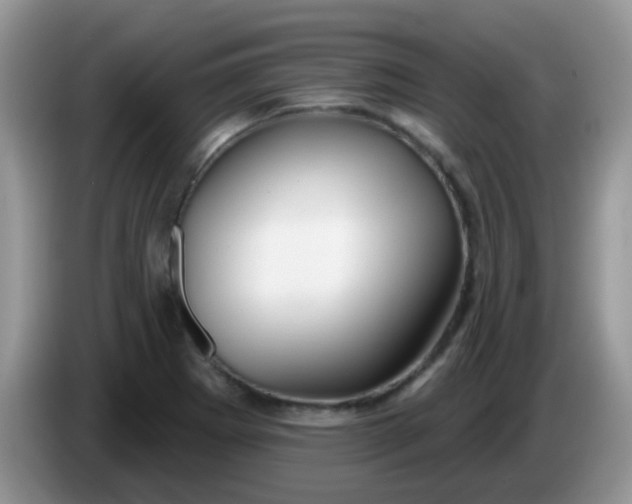 X0000086251273200704121945