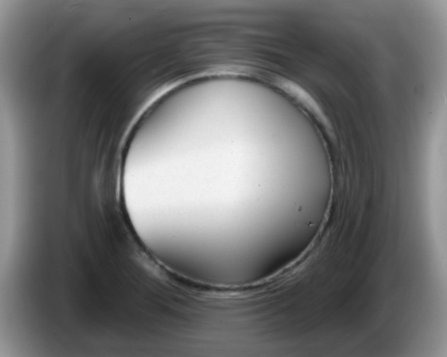 X0000086251276200704121945