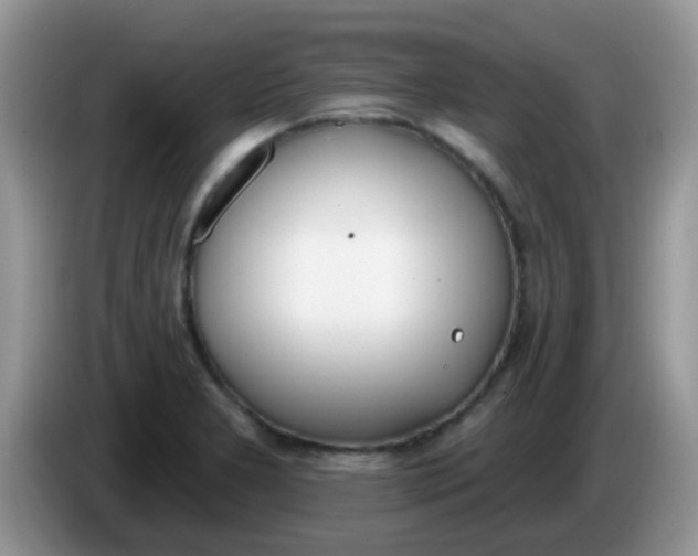 X0000086251277200704121945