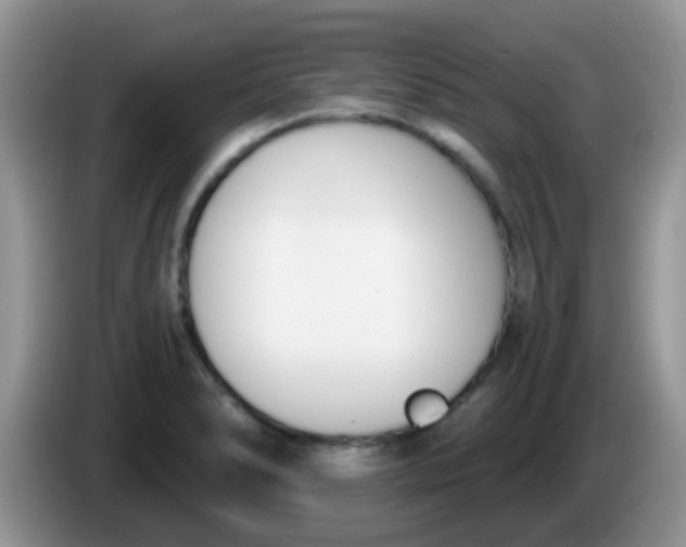 X0000086251278200704121945