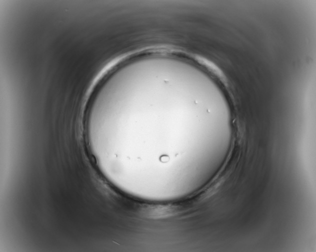 X0000086251279200704121945