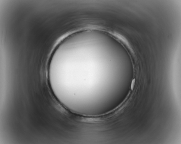 X0000086251280200704121945