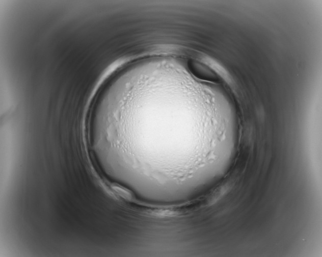 X0000086251283200704121945
