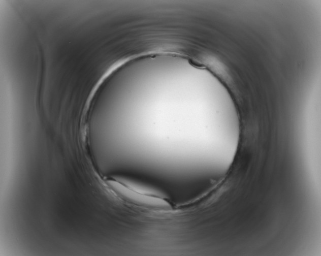 X0000086251284200704121945