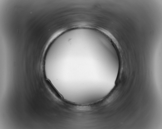 X0000086251285200704121945