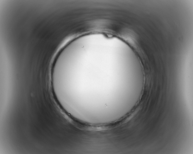 X0000086251286200704121945