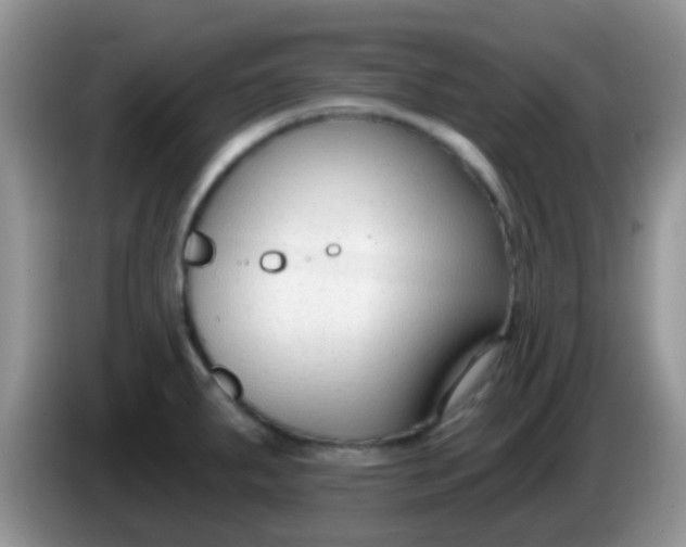X0000086251287200704121945
