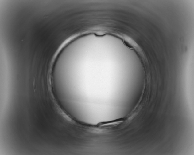 X0000086251288200704121945