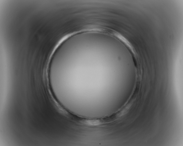 X0000086251291200704121945