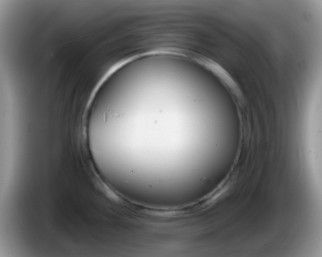 X0000086251292200704121945