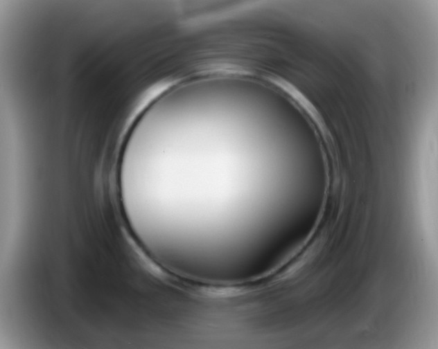 X0000086251293200704121945