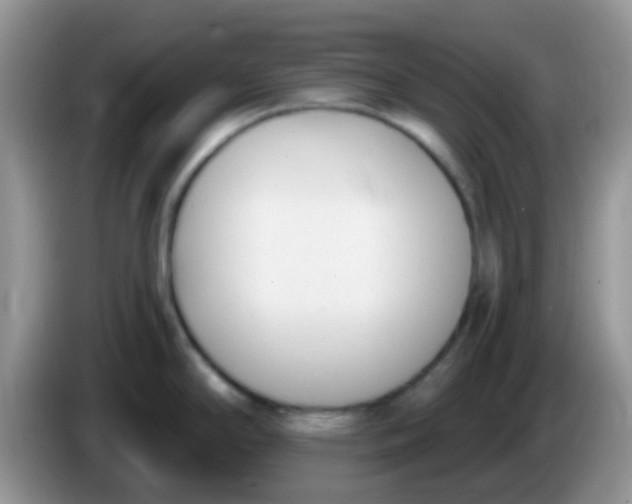 X0000086251294200704121945