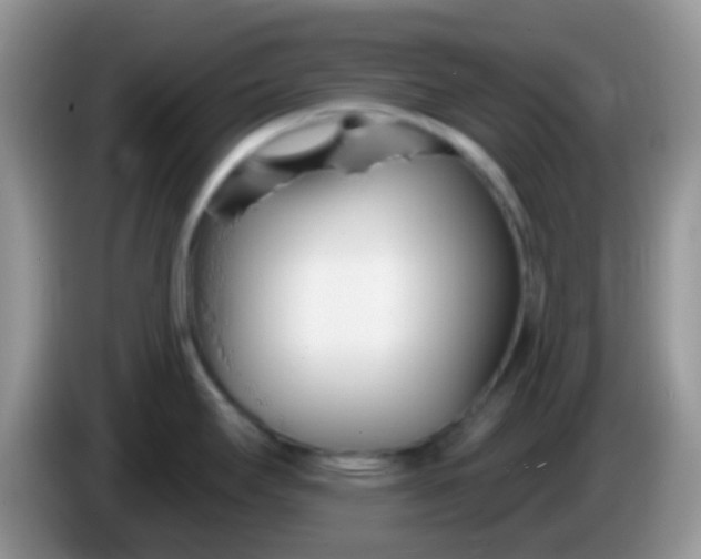 X0000086251295200704121945