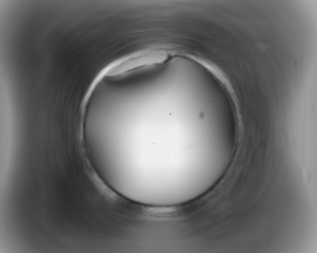 X0000086251296200704121945