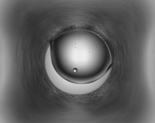 X0000086251298200704121944