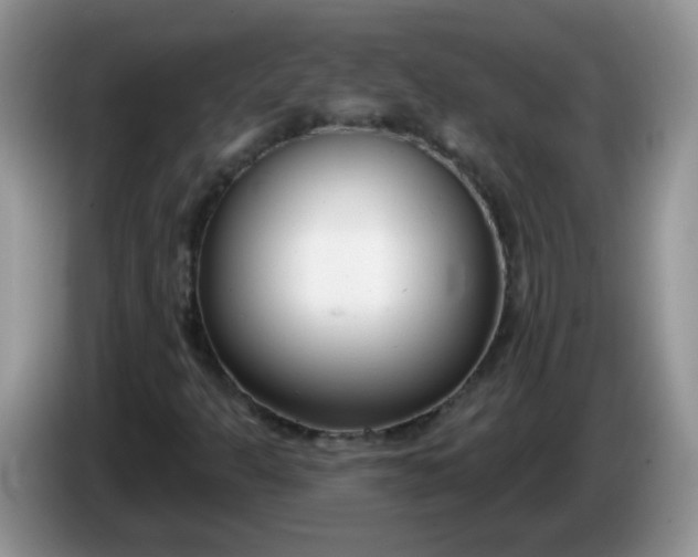 X0000086251301200704121944