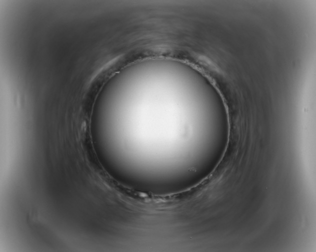 X0000086251302200704121944