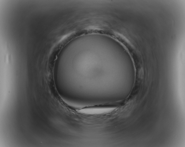 X0000086251303200704121944
