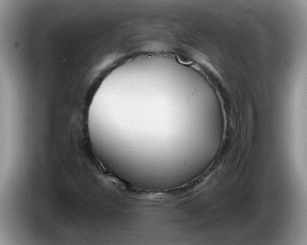 X0000086251304200704121944