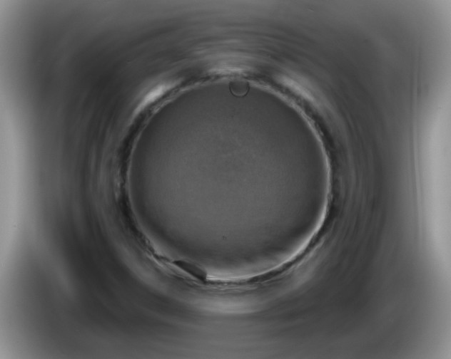 X0000086251306200704121944
