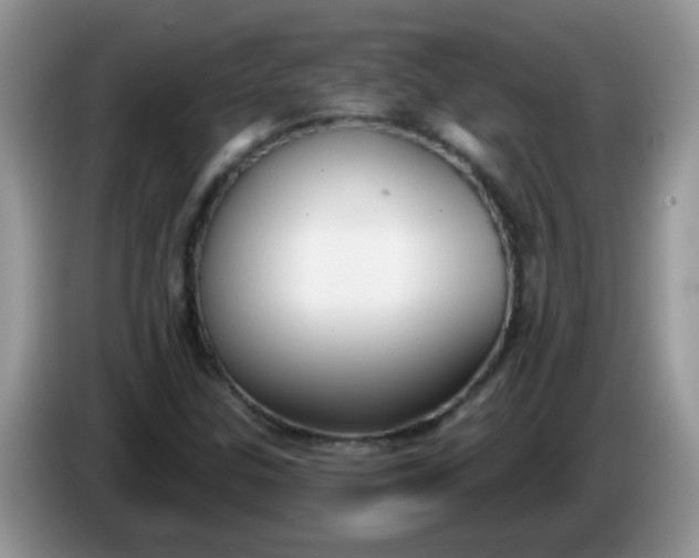 X0000086251307200704121944