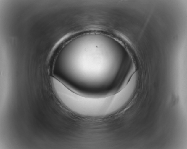 X0000086251310200704121944