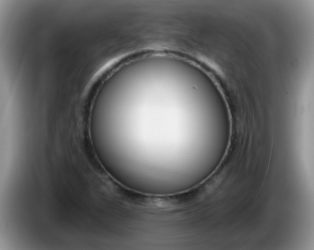 X0000086251311200704121944