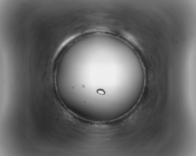 X0000086251312200704121944