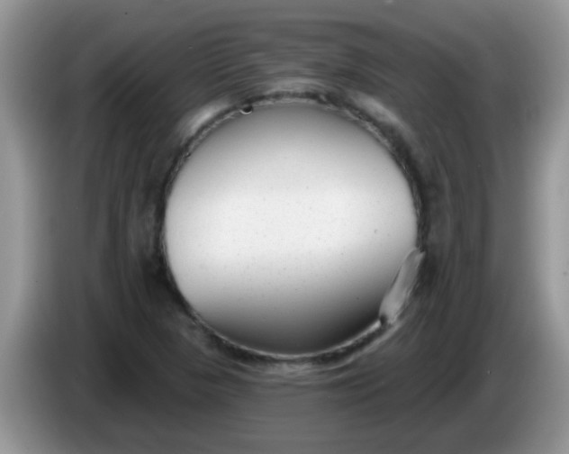 X0000086251313200704121944