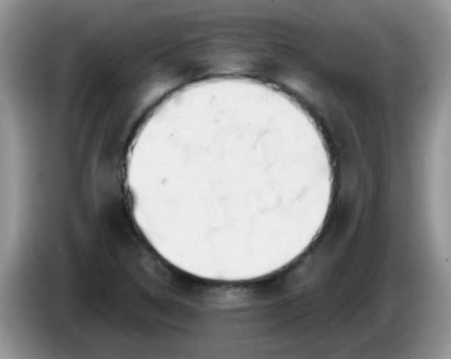 X0000086251314200704121944