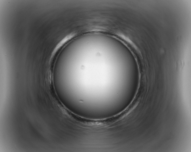 X0000086251317200704121944