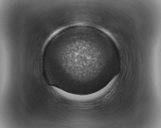 X0000086251319200704121944