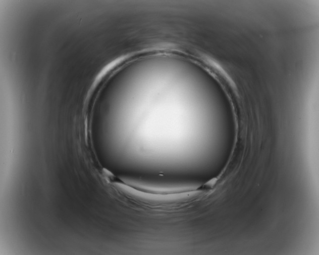 X0000086251320200704121944