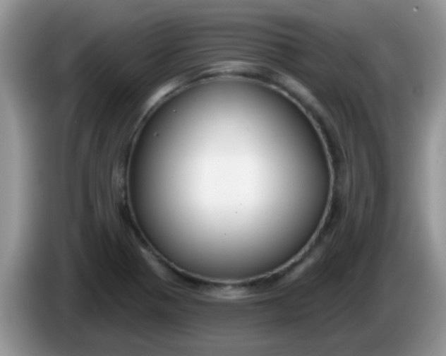 X0000086251321200704121944