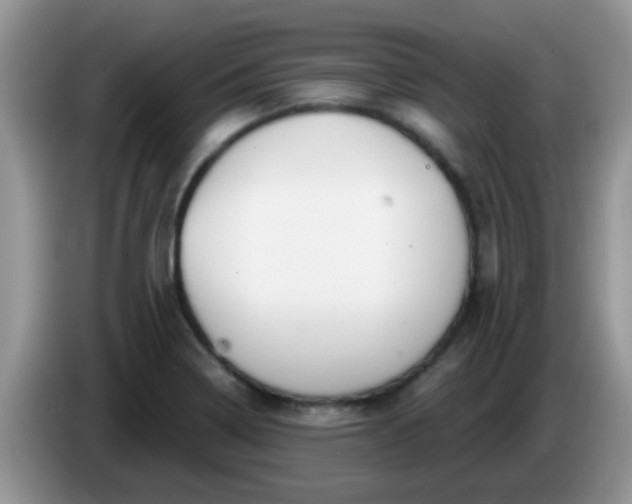 X0000086251322200704121944