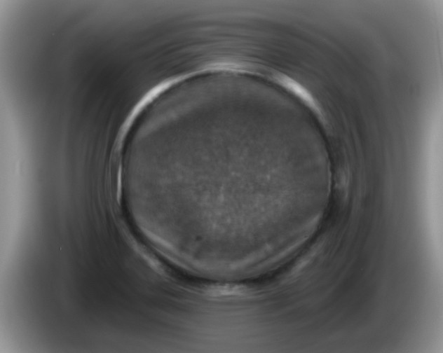 X0000086251323200704121944