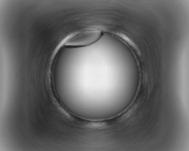 X0000086251325200704121944