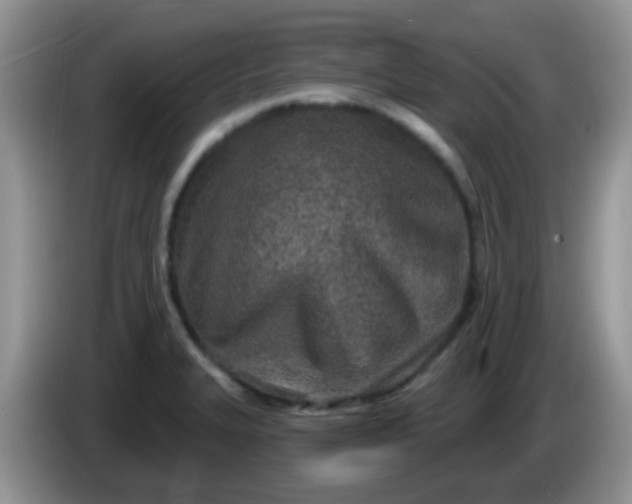 X0000086251327200704121944