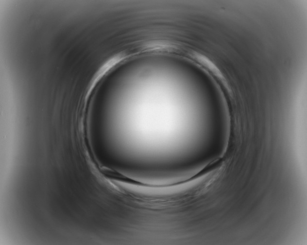 X0000086251330200704121944