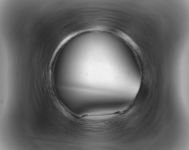 X0000086251332200704121944