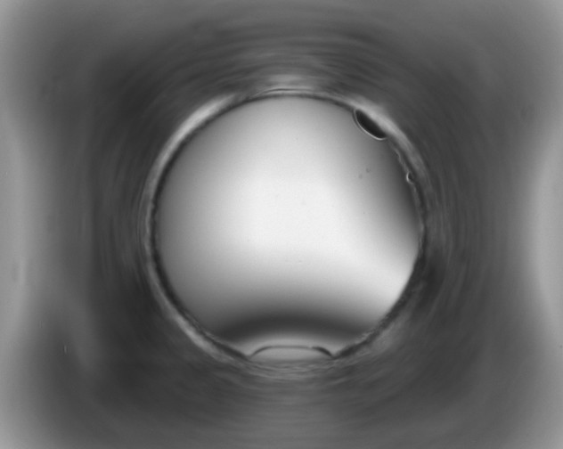 X0000086251333200704121944