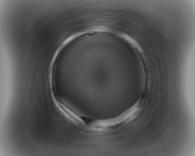 X0000086251334200704121944