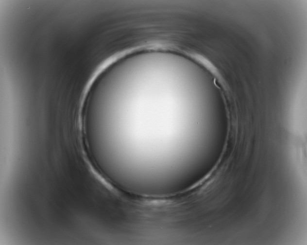 X0000086251335200704121944