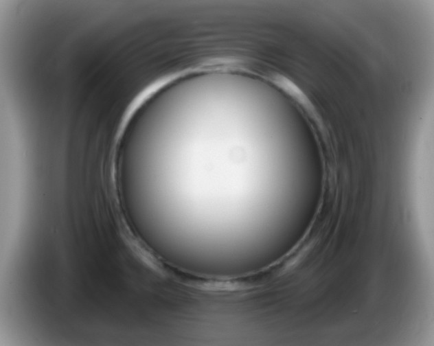 X0000086251336200704121944