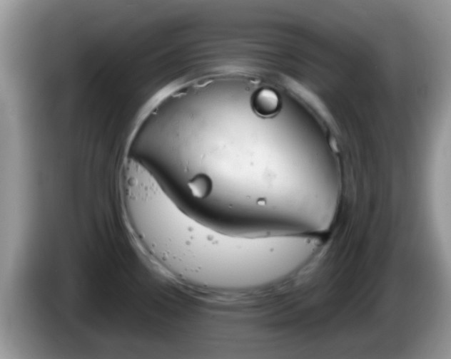 X0000086251338200704121944