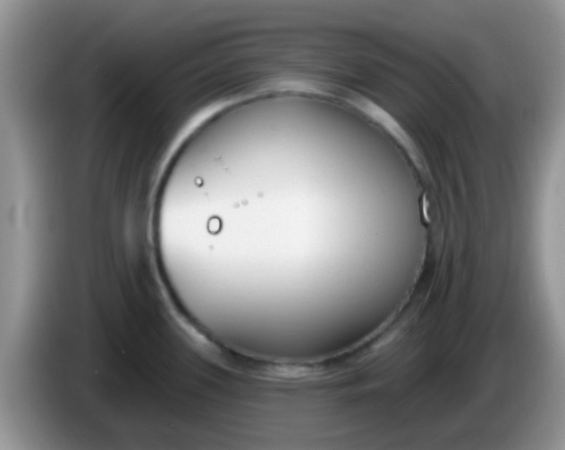 X0000086251339200704121944