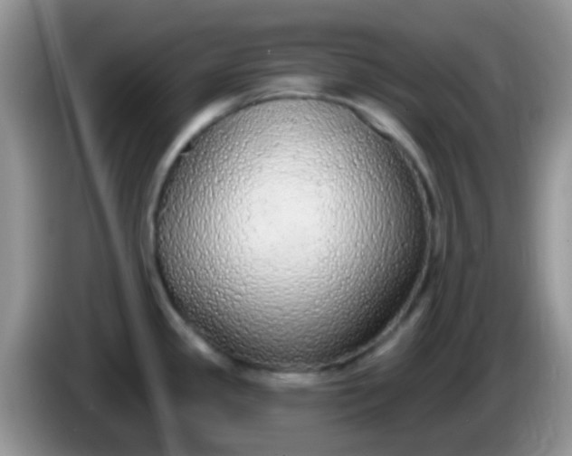 X0000086251341200704121944