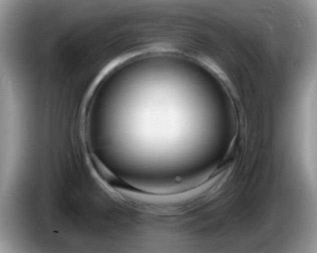 X0000086251342200704121944