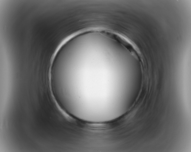 X0000086251343200704121944